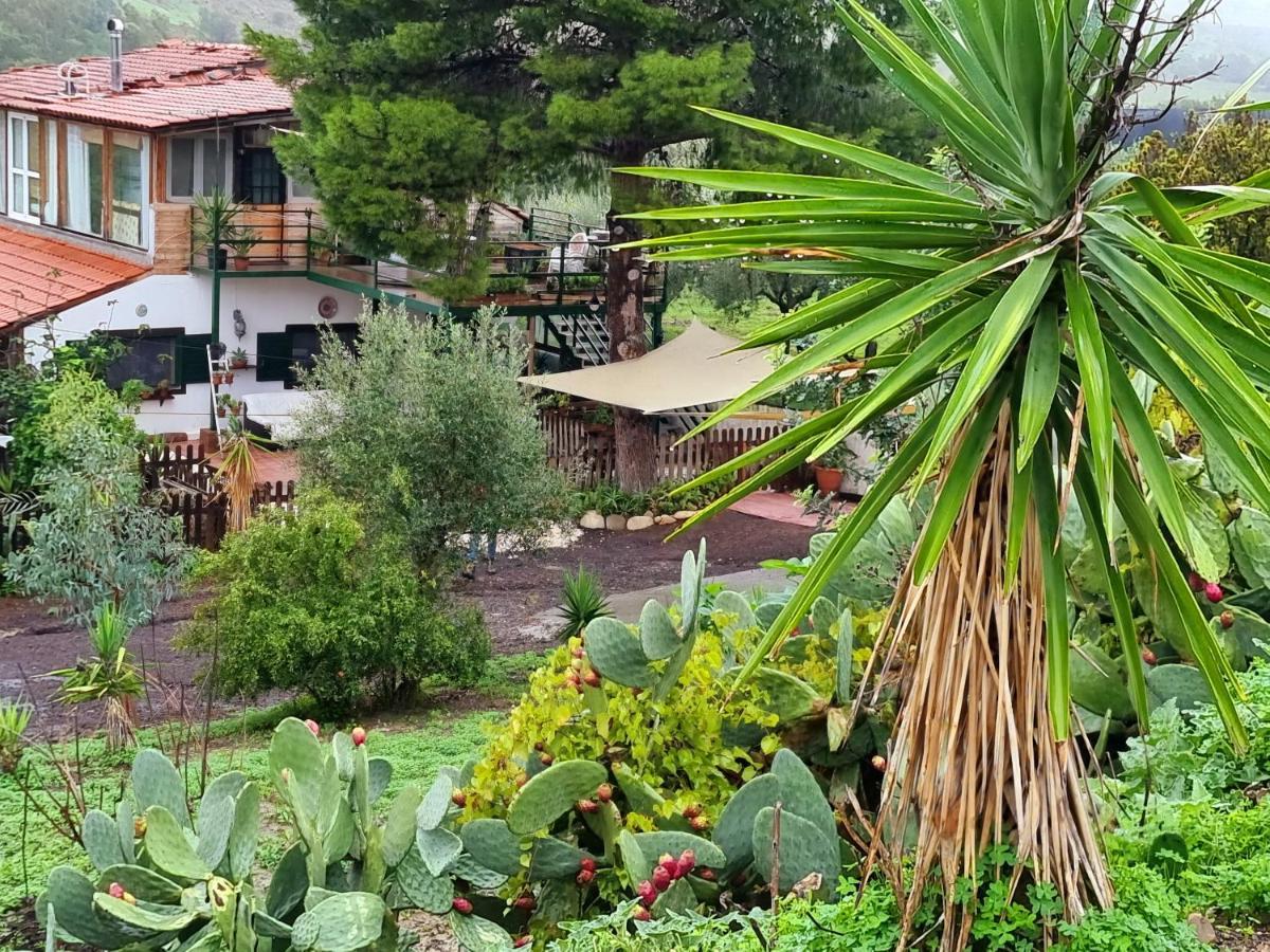 Sunset Valley Village Motta SantʼAnastasia Exterior foto